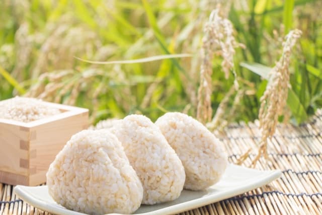 玄米と発芽玄米の違いを比較 選ぶならどっち 食材宅配の比較とおすすめサービス 食材宅配のトリセツ